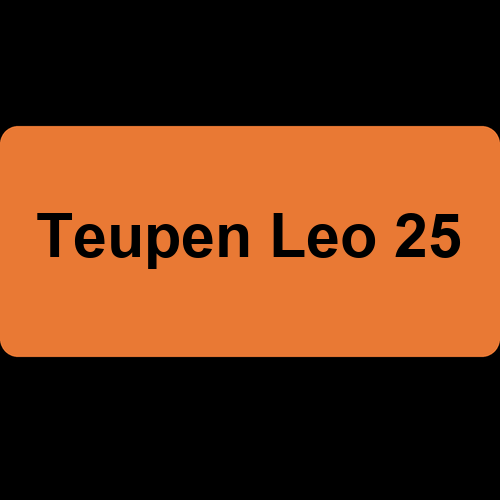 Teupen Leo 25